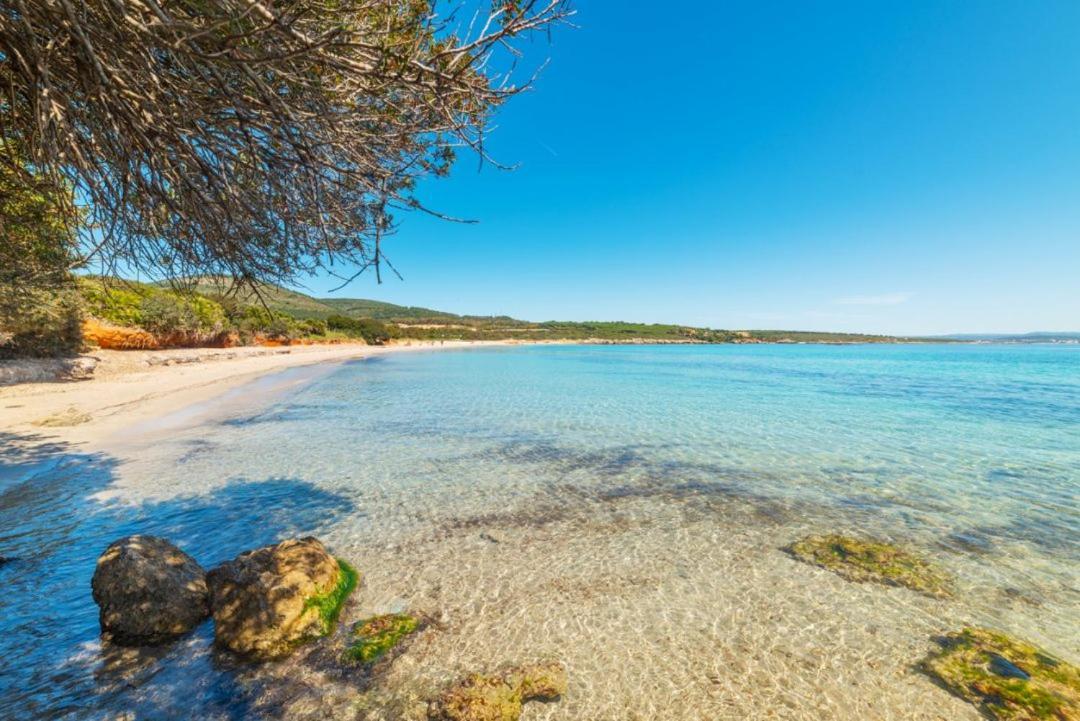 Lo Scrigno Di Ely Διαμέρισμα Αλγκέρο Εξωτερικό φωτογραφία